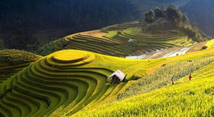 Tren Desain Rumah Masa Depan dengan Penggunaan Atap Spandek Bening